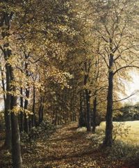 Waldweg im Herbst, &Ouml;l auf Leinwand, 60 x 50 cm